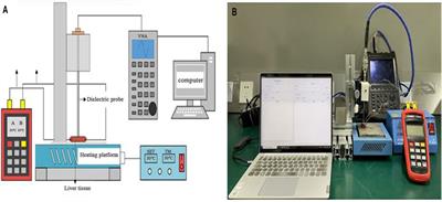 The Relationship Between Dielectric Properties, Thermoacoustic Signals and Temperature of Liver Tissues at 3.0 GHz